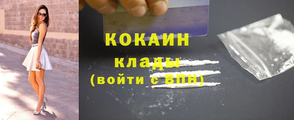 мдпв Ладушкин