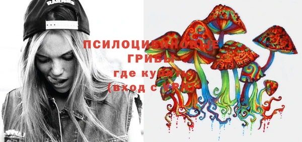 индика Майский