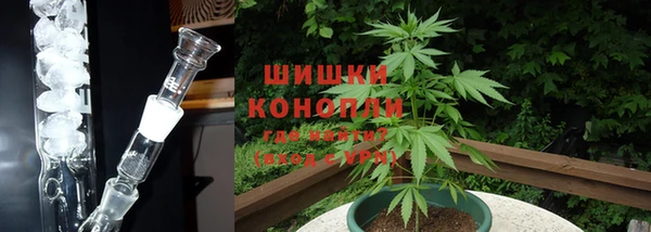 мдпв Ладушкин