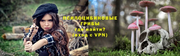 мдпв Ладушкин