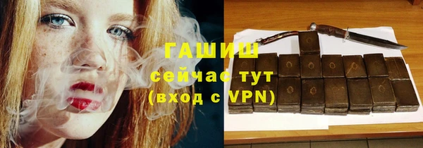мдпв Ладушкин