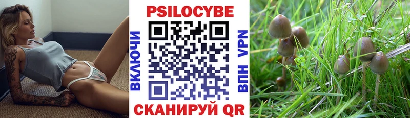 Купить где  Наро-Фоминск  Галлюциногенные грибы MAGIC MUSHROOMS 